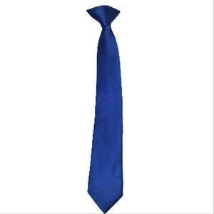 Vesuvio Napoli Boy's Clip On Neck Tie in Royal Blue